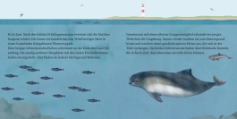 LESEMAUS 135: Der kleine Wal und das Meer