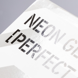 Neon Genesis Evangelion – Perfect Edition 6