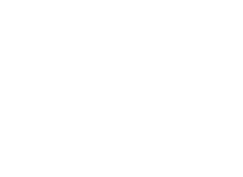Hayabusa Logo weiß