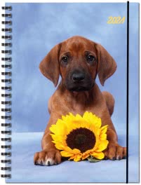 Terminplaner Hund 2021