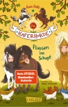Cover von „Flausen im Schopf“