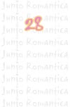 Junjo Romantica 28