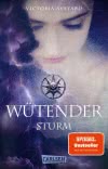 Wütender Sturm (Die Farben des Blutes 4)