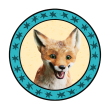 Rabbat der Fuchs