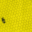 Biene in Honigwabe