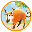 Peperoni aus "Die Schule der magischen Tiere"