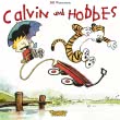 Calvin und Hobbes