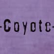 Coyote