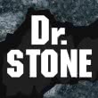 Dr. Stone