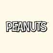 Peanuts Geschenkbuch