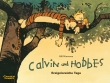 Calvin und Hobbes 8: Ereignisreiche Tage