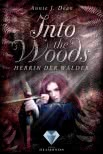 Into the Woods 2: Herrin der Wälder
