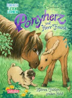 Cover von „Kleines Fohlen, großer Held“