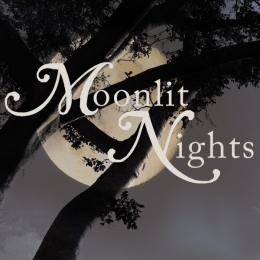 Moonlit Nights
