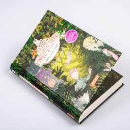 Die Schule der magischen Tiere, Band 11: Wilder, wilder Wald