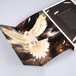 City of Burning Wings