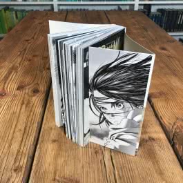 Battle Angel Alita - Last Order - Perfect Edition, Band 12 im Schuber mit Extra
