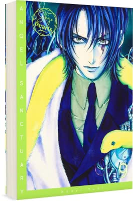 Cover von „Angel Sanctuary Pearls 9“