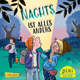 Pixi 2628: Nachts ist alles anders
