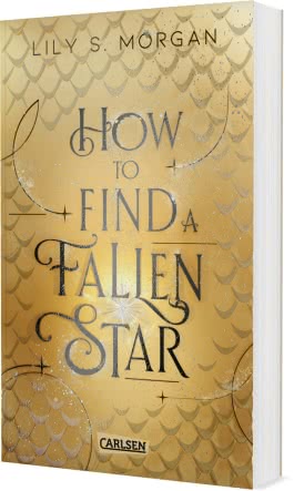 Cover von „How To Find A Fallen Star“