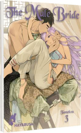 Cover von „The Male Bride 3“