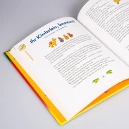 Das große Conni-Weihnachtsbuch