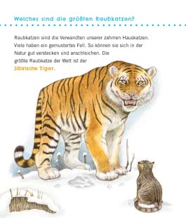 Unkaputtbar: Erstes Wissen: Große Tiere