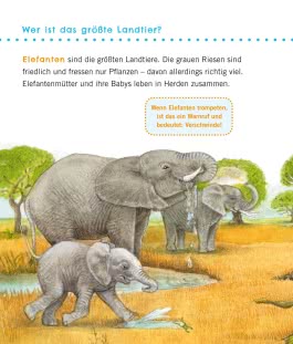 Unkaputtbar: Erstes Wissen: Große Tiere