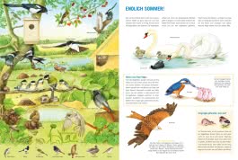 Mein großes Vogelbuch