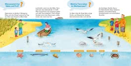 Frag doch mal ... die Maus: Am Meer
