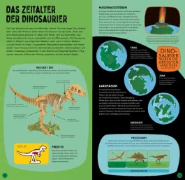 Bau dir deinen T. Rex