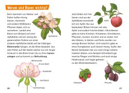 Pixi Wissen 104: Bienen, Hummeln, Wespen