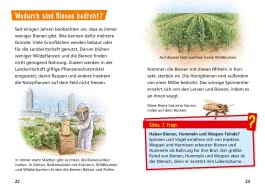 Pixi Wissen 104: Bienen, Hummeln, Wespen