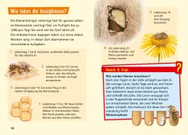 Pixi Wissen 104: Bienen, Hummeln, Wespen