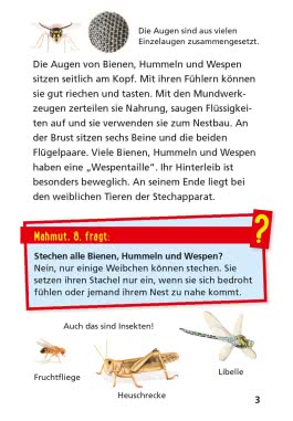 Pixi Wissen 104: Bienen, Hummeln, Wespen