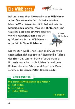 Pixi Wissen 104: Bienen, Hummeln, Wespen
