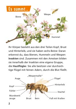 Pixi Wissen 104: Bienen, Hummeln, Wespen