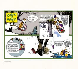 Calvin und Hobbes: Gesamtausgabe - Paperback