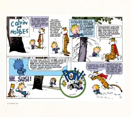 Calvin und Hobbes: Gesamtausgabe - Paperback