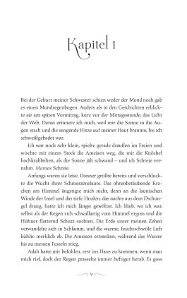Der Fluch der Schwestern (Die sechs Kraniche 0)
