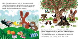 Innenansicht von „Der kleine Maulwurf: Der kleine Maulwurf macht ein Picknick“