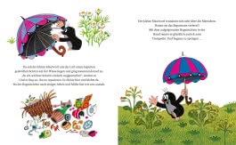 Der kleine Maulwurf und der Regenschirm