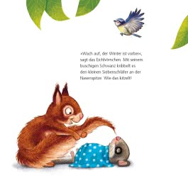 Maxi Pixi 462: Der kleine Siebenschläfer: Das machen wir im Frühling!