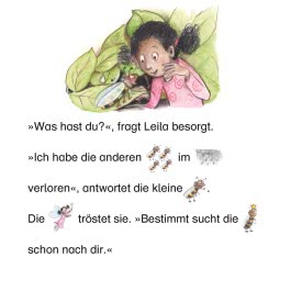 Maxi Pixi 480: Die kleine Fee im Zauberwald