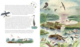 Innenansicht von „Die Natur kehrt zurück“