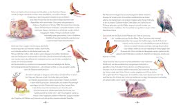 Innenansicht von „Die Natur kehrt zurück“