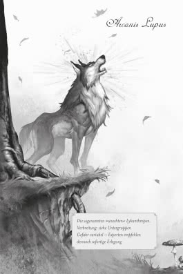 Innenansicht von „Die Oaknight-Chroniken 1: Werwolfjagd ist Familiensache“