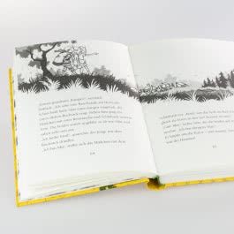 Die Schule der magischen Tiere. Endlich Ferien 2: Silas und Rick