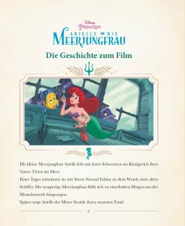 Innenansicht von „Disney: DISNEY DELUXE Arielle“