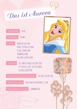 Disney Prinzessin: Girl Power - Eintragbuch